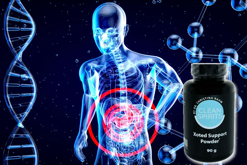 xoted-powder-product-product